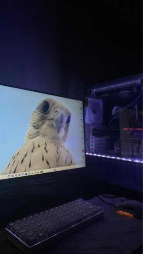 بي سي