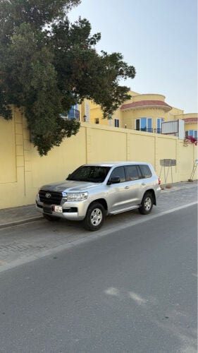 صفاق  2019