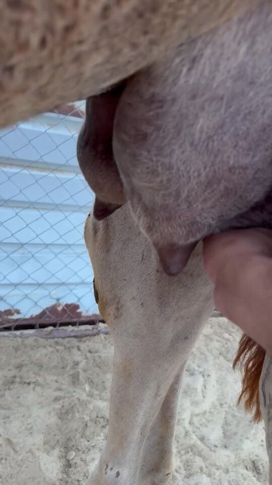 خفوووت طيبه
