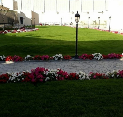 منسق ومصمم حدائق 55079950