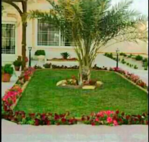 مصصم حدائق 55079950