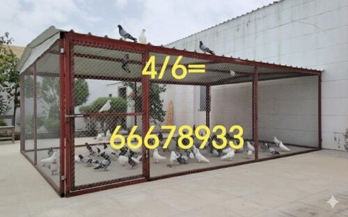 6/4=قفص