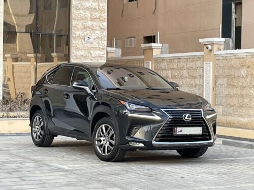 Lexus NX300 2021