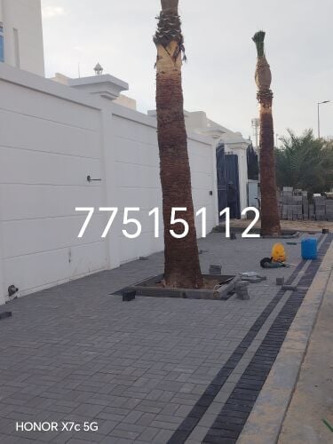 تركيب الانترلوك وزراعة النخيل