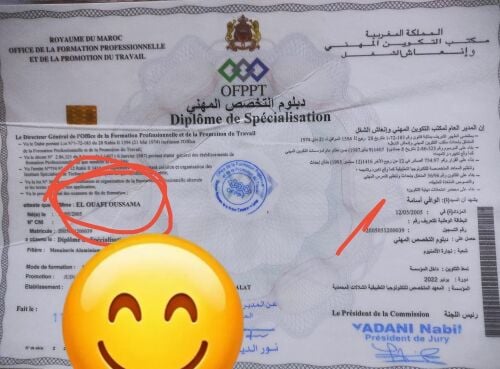 اسامة الوافي
