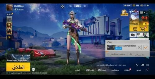 حسل ببجي للبيع