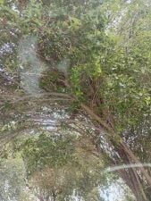 ابحث عن عمل
