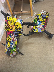 scoter
