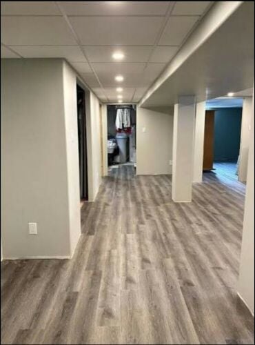High-quality, parquet for home