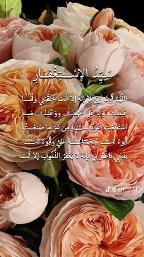 أم يونس