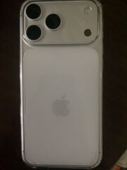 17 pro max
