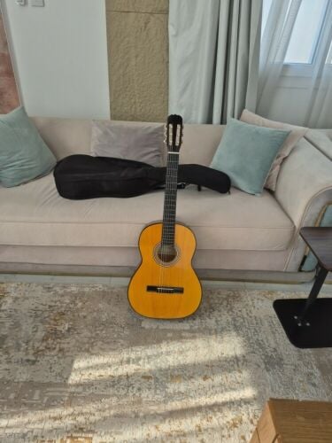 sale Guitar