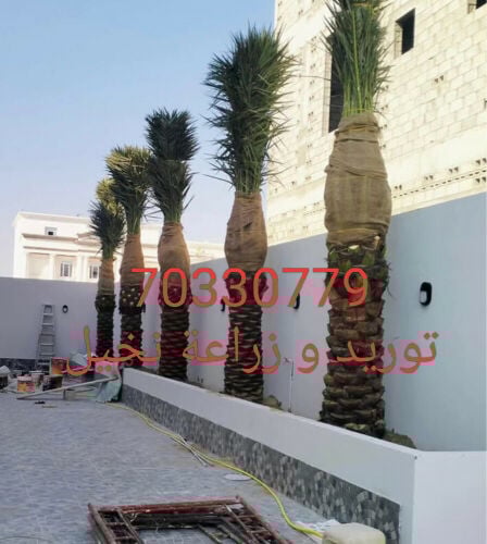 هندسه زراعيه ورديكور حدائق