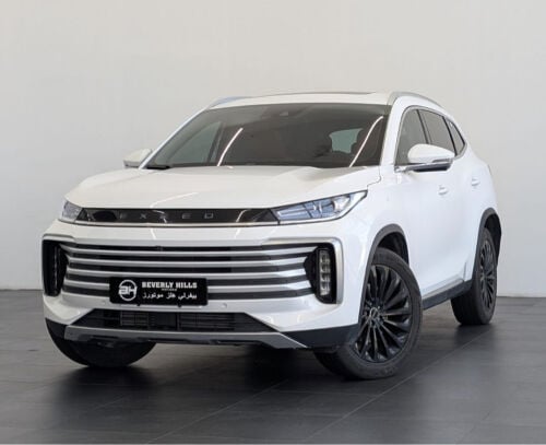 2024 Exeed TXL - Original paint 