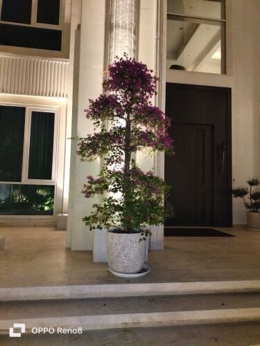 ابو عبدالرحمن