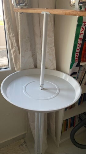 bird stand
