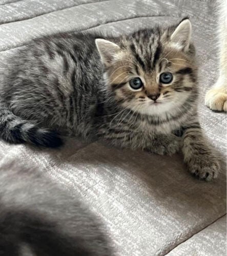 luna