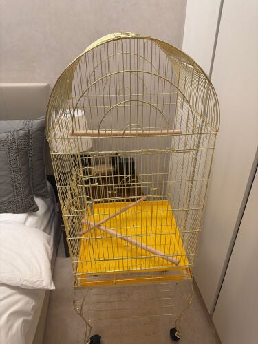 Big Cage + Bird Stand 