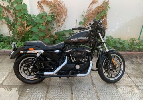 Harley Davidson  883