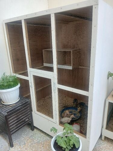 cage for breeding