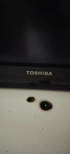 +Toshiba