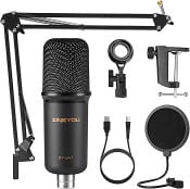 zingyou mic set