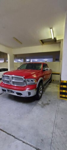 Ram Dog 2015