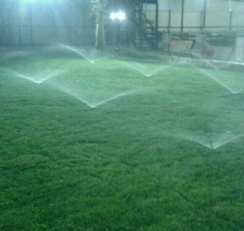 عشب طبيعي وصناعي 