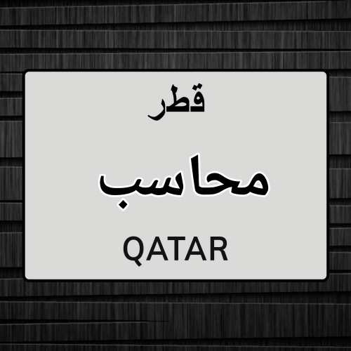 محاسب مصري