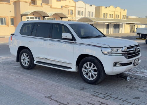 GXR 2019 V6