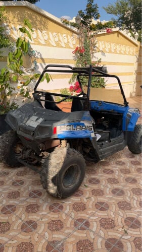بولارس للبيع
