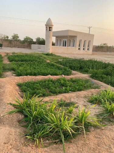 للبيع مزرعه 