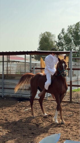 ماله جواز
