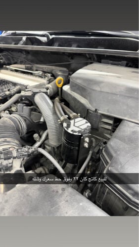 كاتج كان