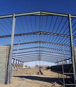 Stored iron required for sale
