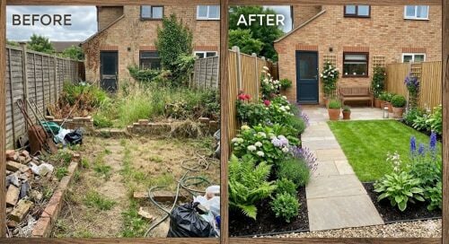 Plant Grass | Grassy Area Flowers