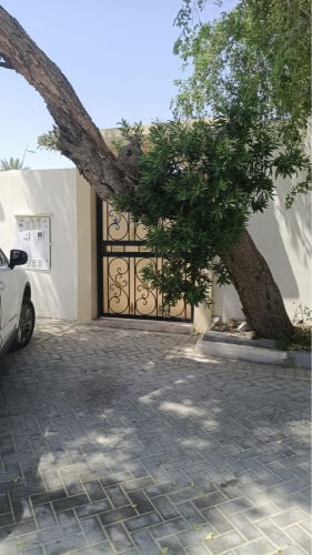 بيت شعبي للبيع في معيذر موقع مميز