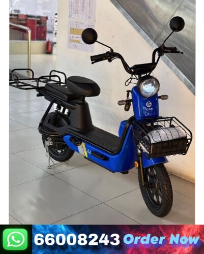 electric scooter 