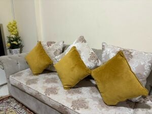 Sofa, carpet and table