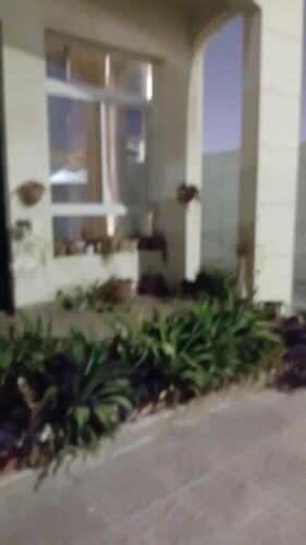 استديو كبير خلف اللاندمارك الدحيل