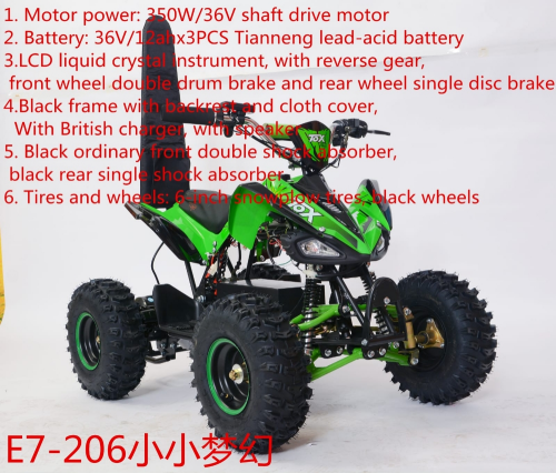 buggy electric atv Flushing