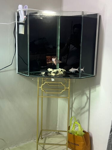 corner aquarium 