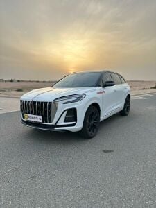 للبيع هونغ تشي اتش اس 3 2025