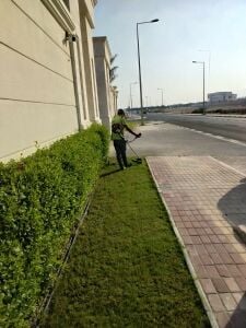 Landscape and Irrigation works