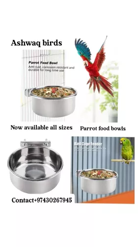Bird Bowl steel 25qr 10 cm