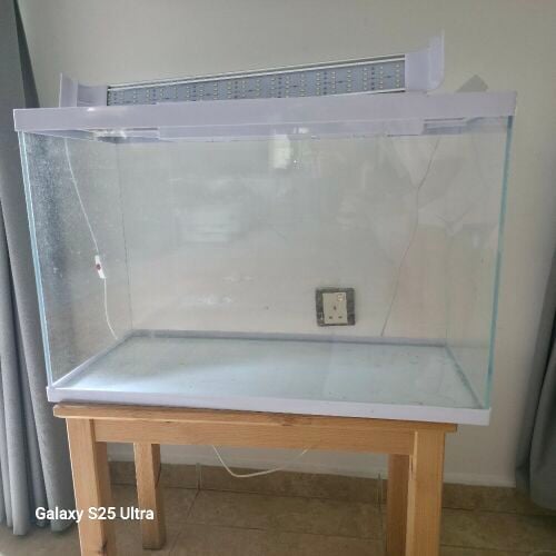 Terrarium / Aquarium.