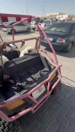 . للبيع 