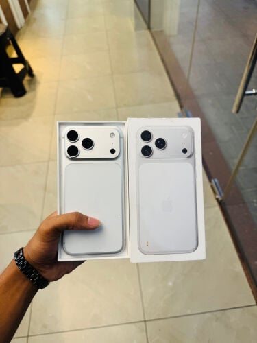 17promaxx 256gb silver 