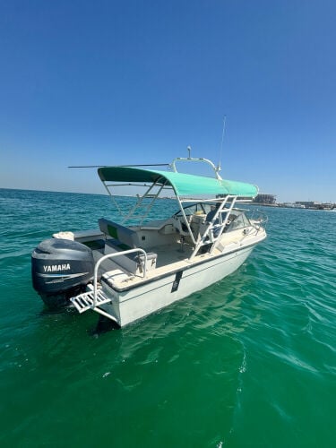  24ft US made hull  yamaha 250 