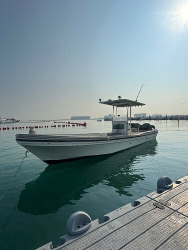 Balhembar 27Ft twin 115 Yamaha